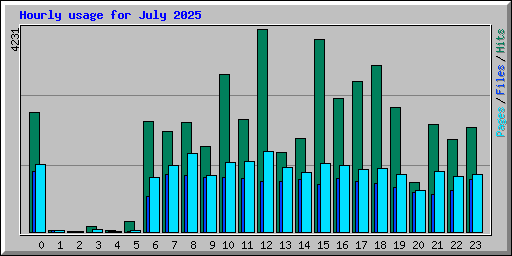 Hourly usage for July 2025